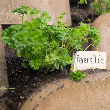 酒店 Inselhotel Ruegen