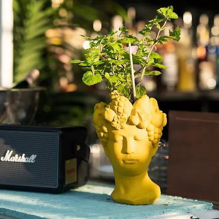 Inselhotel Ruegen 酒店