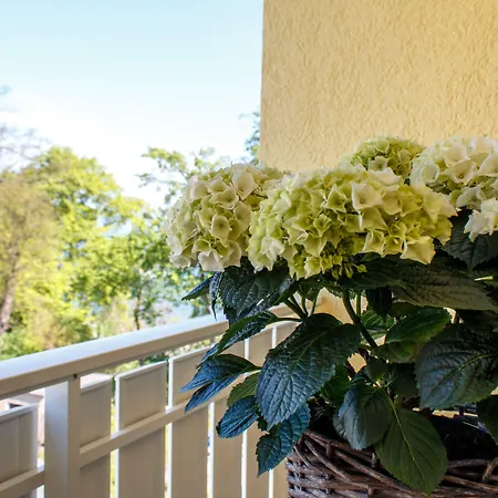 Inselhotel Rügen Hotel