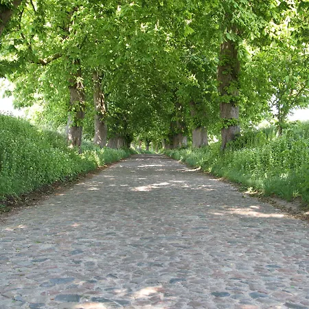 호텔 Inselhotel Ruegen