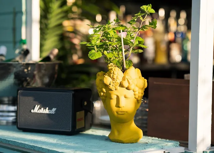 Inselhotel Ruegen Hotel